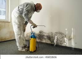 Best Emergency Mold Remediation  in Eatonville, FL